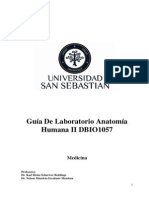 Laboratorio Anatomía Humana II