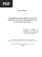 Dissertacao Versao Simplificada Bruno Shimizu