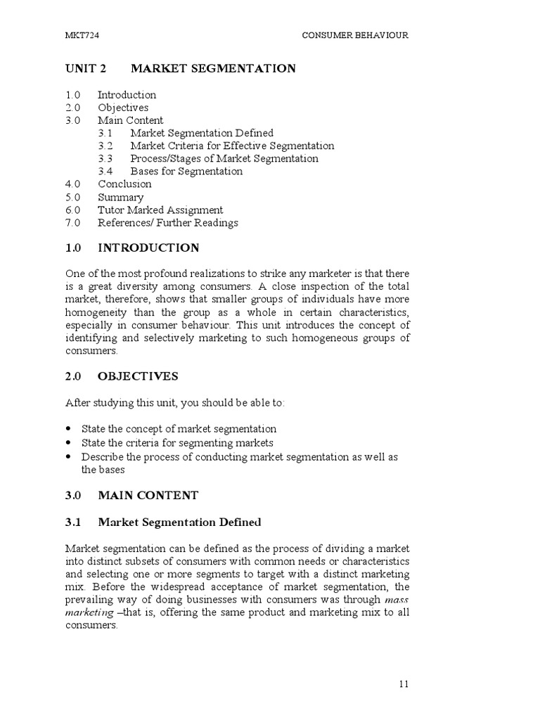 Market Segmentation in Consumer Behavior | PDF | Business