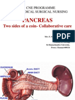 Pancreas 25.07 Copy Nursing