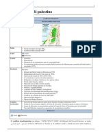 Conflicto Israelí-Palestino
