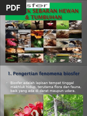 Biosfer Aspek Sebaran Hewan Tumbuhan 1