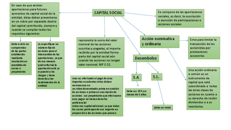 Mapa Conceptual Capital Social Nif C11