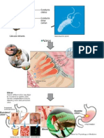 Patologia Clinica Casos Clinicos