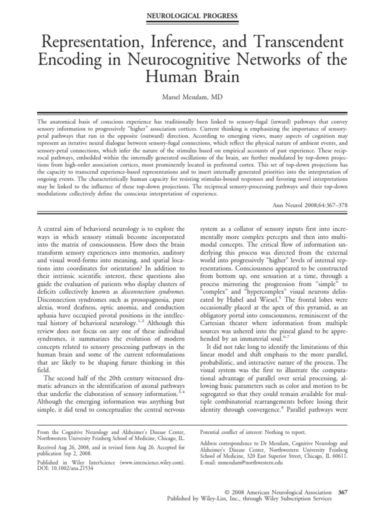 Representation | PDF | Visual Cortex | Perception