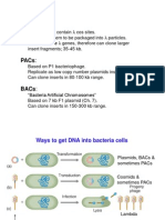 Cloning DNA Fragments Using Plasmids, Cosmids, BACs and PACs