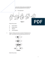 Figure 1 Shows A Process Carried Out by An Amoeba SP.: Rajah 1 Menunjukkan Proses Yang Dijalankan Oleh Ameoba SP