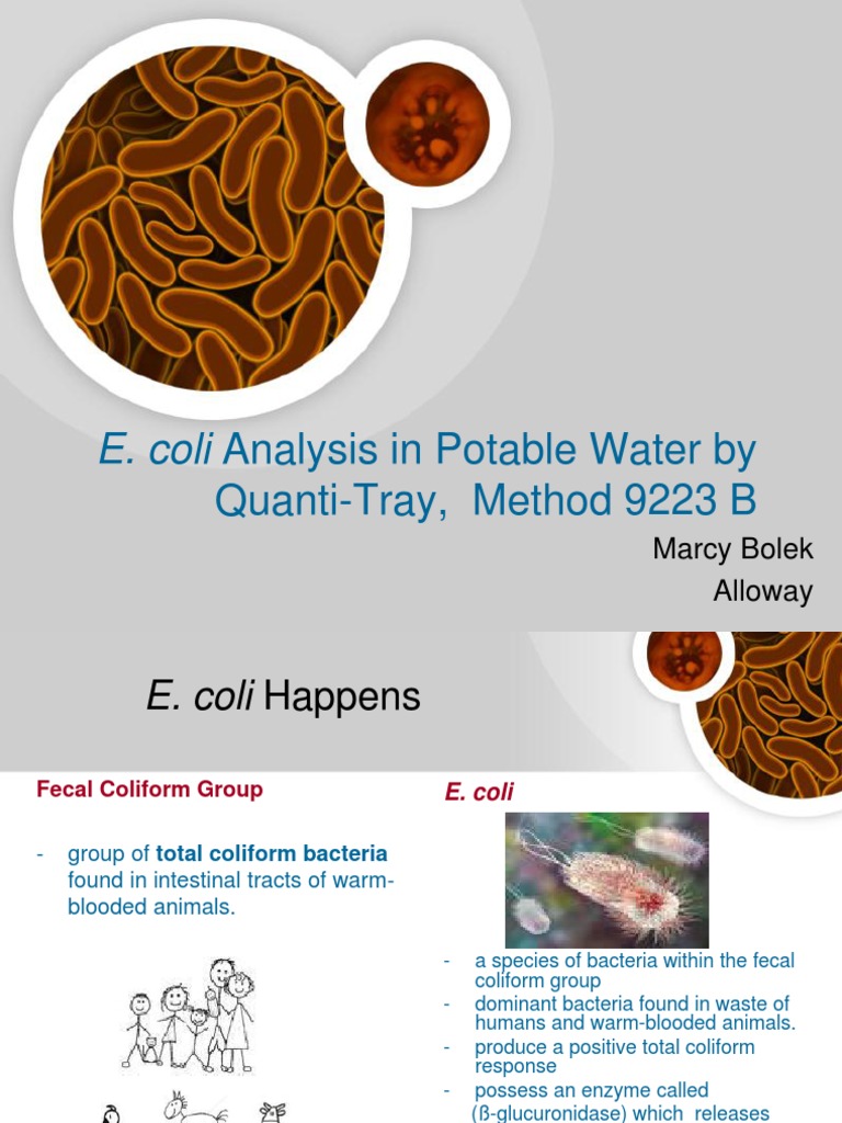 E. Coli Enumeration in Drinking Water Escherichia Coli Drinking Water