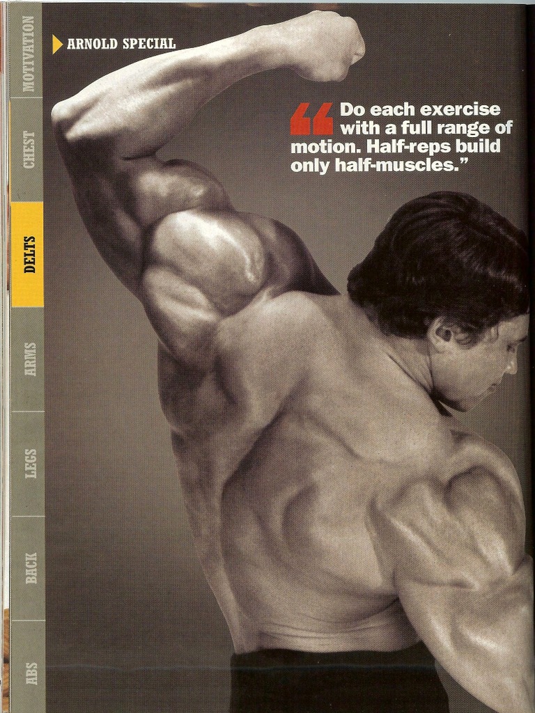 Arnold Training Delts Arms | PDF