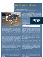 O fardo da vaca leiteira - Questões éticas sobre a Bovinicultura Intensiva