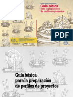 Guia Basica Perfiles Proyectos PDF