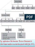 Fig. Application of The Biosensor. The Use of Biosensors To Detect Tumor Markers in Serum Has Spread Widely (Jin, 2011)