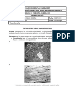 Textura y Estructura de Rocas Sedimentarias