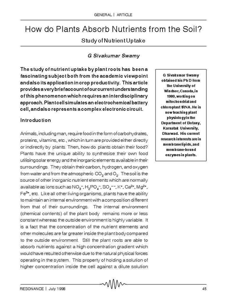 How Do Plants Absorb Nutrients From The Soil? Study of Nutrient Uptake