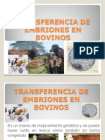 Transferencia de Embriones en Bovinos