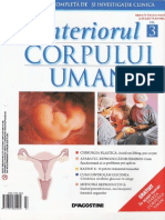 14349417 Interiorul Corpului Uman Nr3