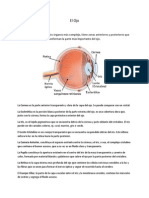 El Ojo y Sus Aberraciones