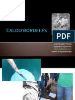 Caldo Bordelés.pdf