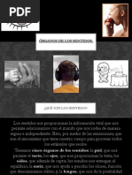 Órganos de Los Sentidos