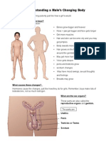 3 - Puberty Male Notes - Teacher