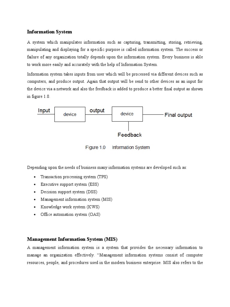 assignment for system analysis and design