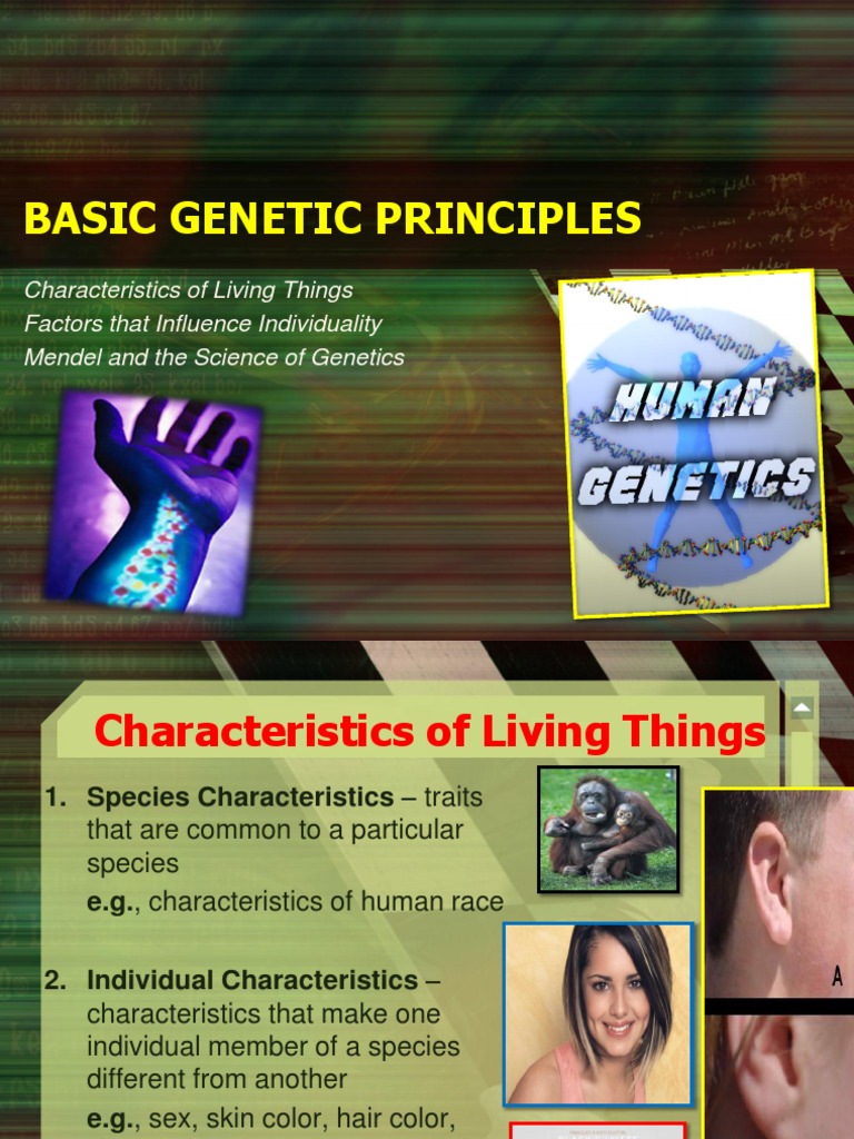 Basic Principles Dominance