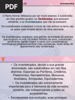 Evolução Dos Invertebrados