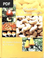 Download Cashew by amruta21 SN237283943 doc pdf