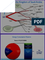 Saudi - Energy Options