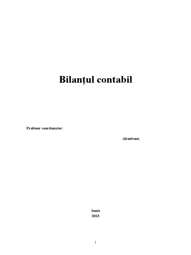 Bilantul Contabil | PDF