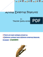 Animals External Features