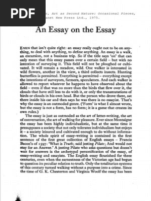 Ensayo Hamburger Essay