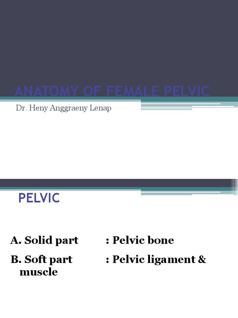 DR, Henny Anatomy of Female Pelvic | PDF | Pelvis | Skeletal System