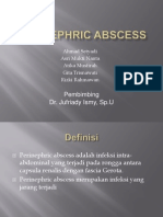 Perinephric Abscess: Penyebab, Gejala, Diagnosis dan Penatalaksanaan