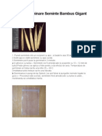 Manual Germinare Seminte Bambus Gigant PDF