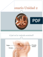 Cuestionario Unidad 2