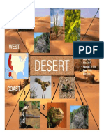 Desert Biome