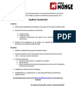 Auditor Comercial