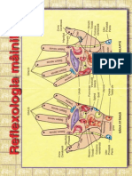 Reflexologie Maini