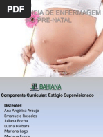 A Assistência de Enfermagem No Pré-natal- Estagio