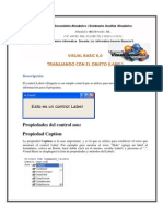 Practica 1 LABEL Visual Basic