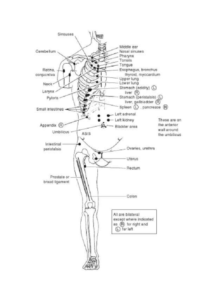 Chapmans Points | PDF
