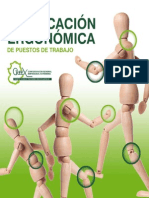 verificacion_ergonomica_2010