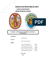 Universidad Nacional de San Antonio Abad del Cusco monografía sobre plastidios y fotosíntesis
