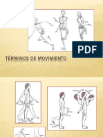 Términos de Movimiento