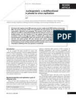 The Influenza Virus Nucleoprotein a Multifunctional RNA-binding Protein Pivotal to Virus Replication