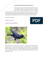 6 Burung Eksotis Dan Langka Yang Ada Di Pulau Sulawesi