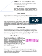 7 Tipuri de Potentiali Clienti Si Cum Sa-i Abordezi Pe Fiecare Dintre Ei