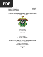 Download Lapsus by Erin Nurul Mowoka SN237394532 doc pdf