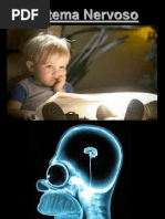 1 - Introducao Ao SN PDF